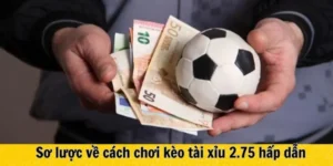 Cách Chơi Kèo 2.75 Chính Xác Cho Người Yêu Thích Tài Xỉu