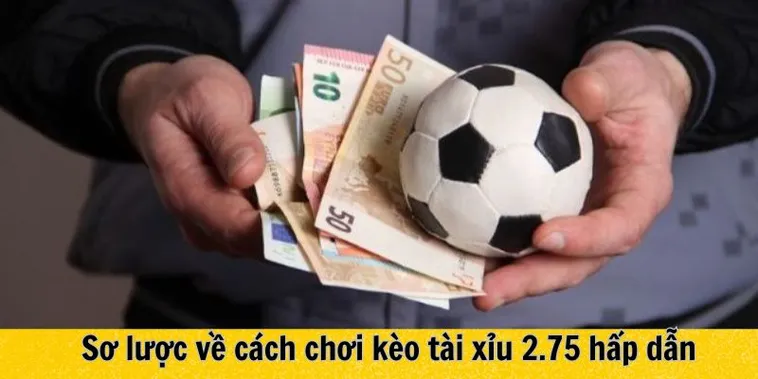 Cách Chơi Kèo 2.75 Chính Xác Cho Người Yêu Thích Tài Xỉu