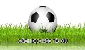 Hướng Dẫn Cách Chơi Kèo Tài Xỉu Chính Xác Dựa Trên Số Liệu