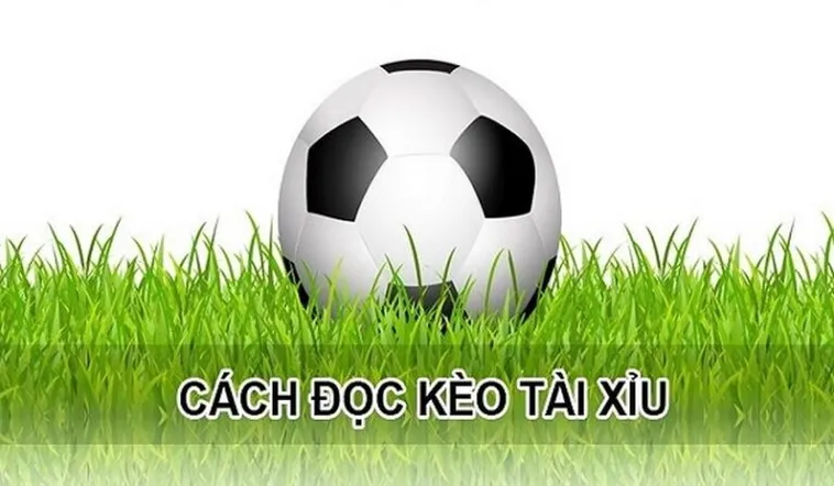 Bí Kíp Soi Kèo Tài Xỉu Hiệp 1 Hiệu Quả Nhất Cho Người Mới