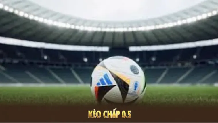 Cách Chơi Kèo Chấp 0.5 Đơn Giản Và Hiệu Quả Nhất