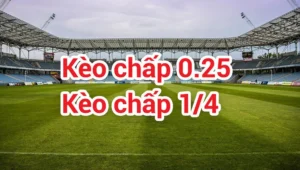 Cách Chơi Kèo Chấp 0.25 Dễ Hiểu Nhất Cho Người Mới